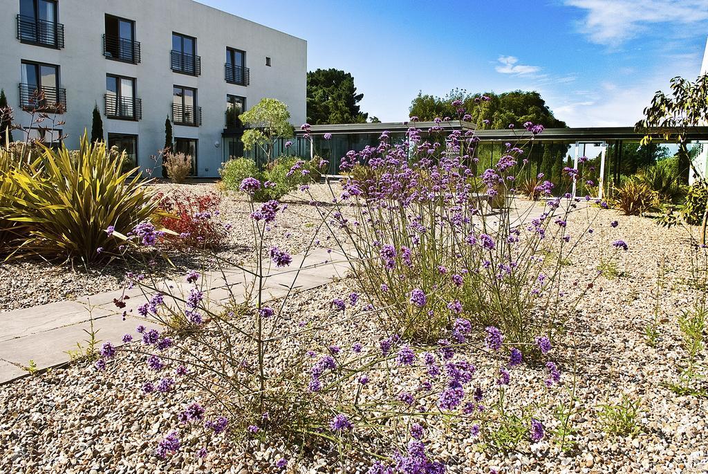 Lifehouse Spa And Hotel Frinton-on-Sea Exterior photo